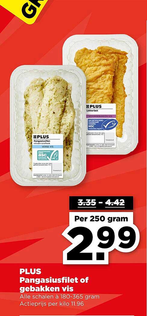PLUS Pangasiusfilet of gebakken vis