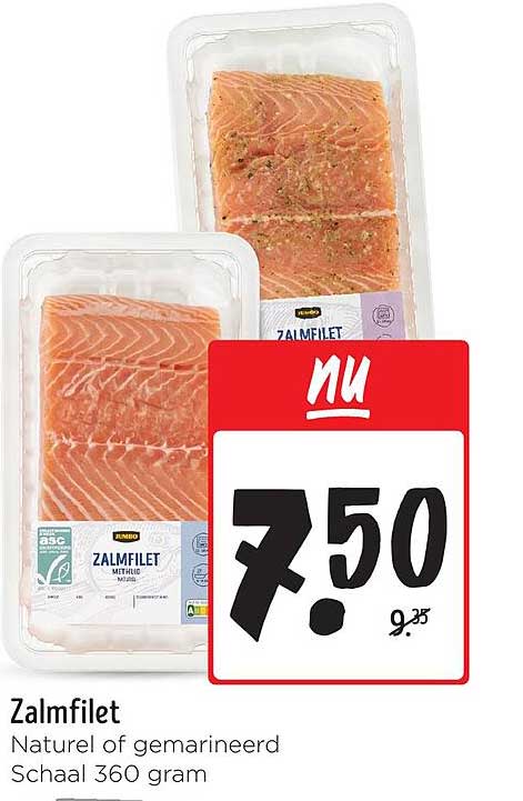 Zalmfilet