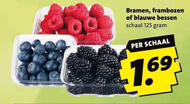 Bramen, frambozen of blauwe bessen schaal 125 gram