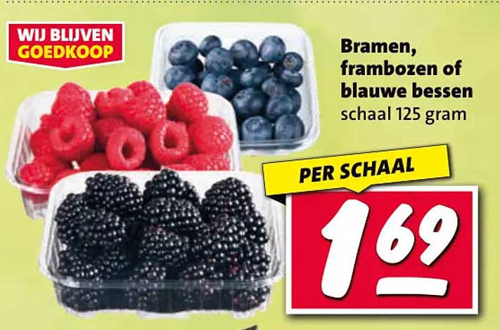 Bramen, frambozen of blauwe bessen schaal 125 gram PER SCHAAL