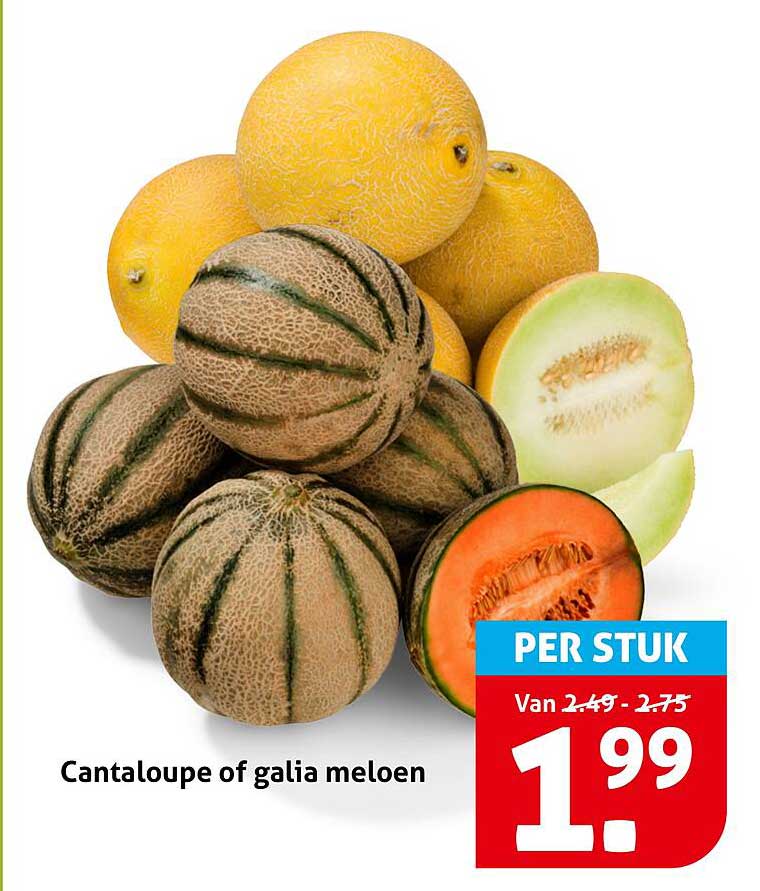 Cantaloupe of galia meloen