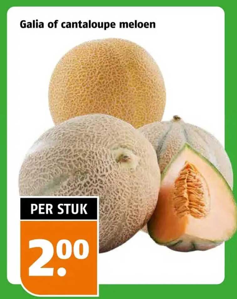Galia of cantaloupe meloen