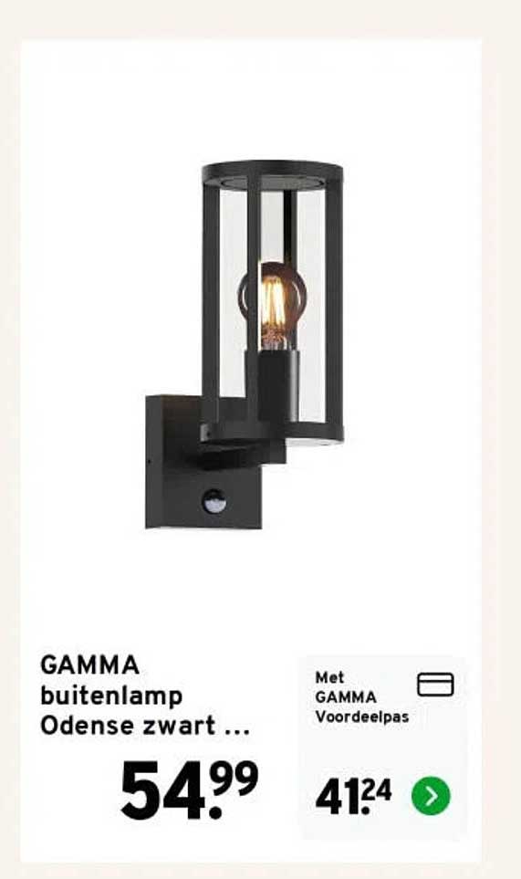 GAMMA buitenlamp Odense zwart ...