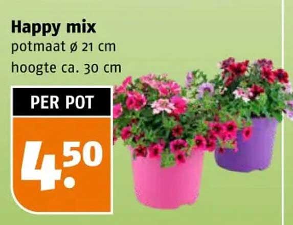 Happy mix potmaat ø 21 cm hoogte ca. 30 cm PER POT
