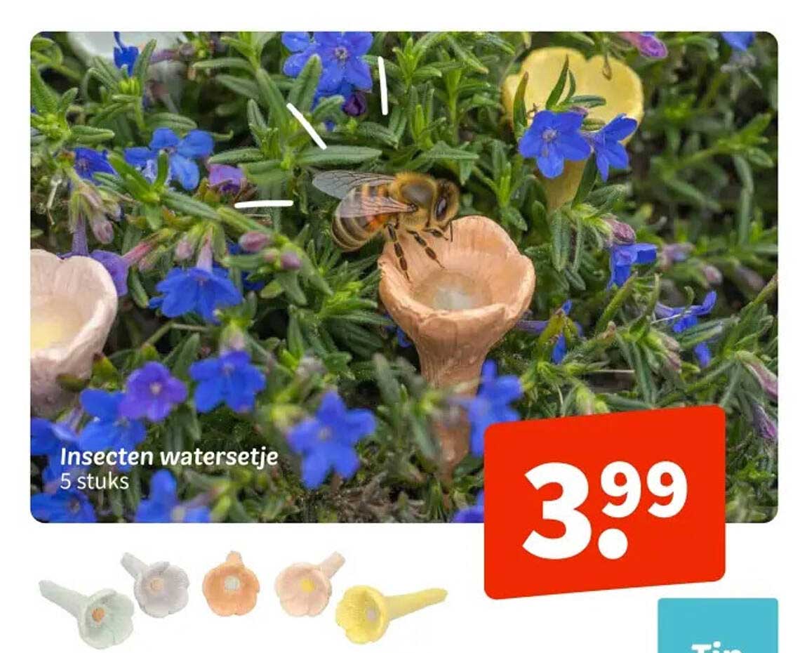 Insecten waterzetje 5 stuks