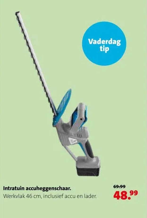 Intratuin accuheggenschaar
