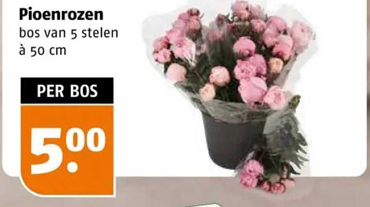 Pioenrozen bos van 5 stelen à 50 cm