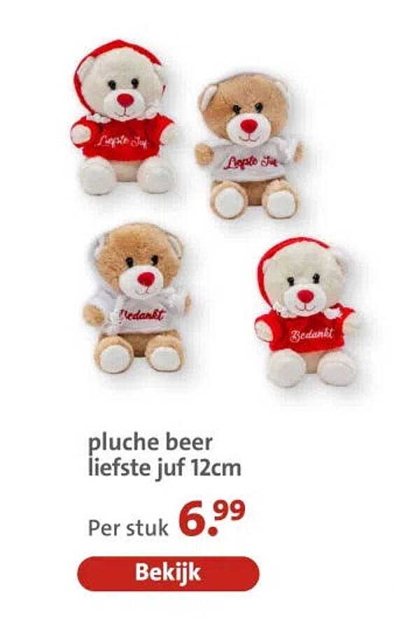 pluche beer liefste juf 12cm