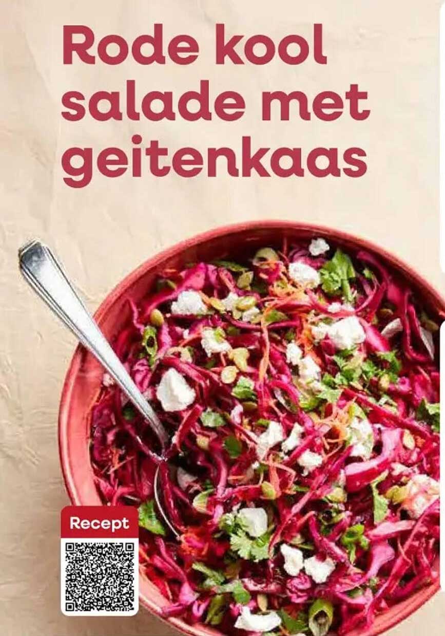 Rode kool salade met geitenkaas