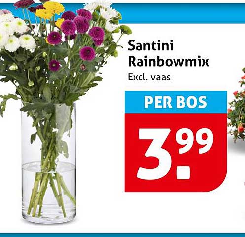 Santini Rainbowmix Exclus. vaas