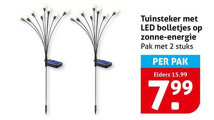 Tuinsteker met LED bolletjes op zonne-energie Pak met 2 stuks
