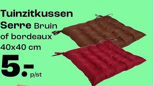 Tuinzitkussen Serre Bruin of bordeaux 40x40 cm