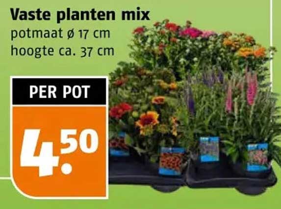 Vaste planten mix