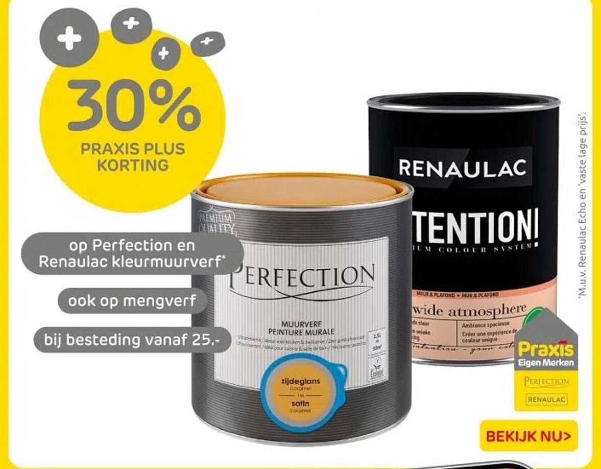 30% PRAXIS PLUS KORTING op Perfection en Renaualc kleurmuurverf bij besteding vanaf 25,-