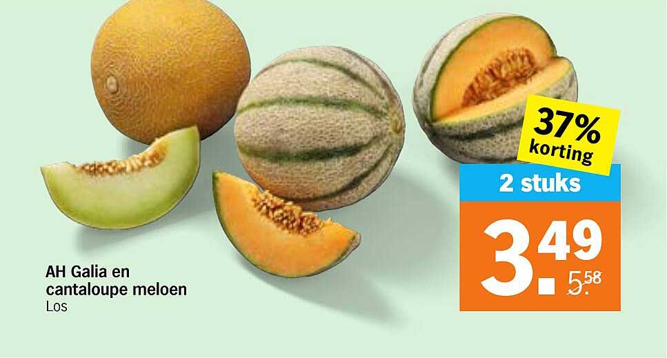 AH Galia en cantaloupe meloen Los