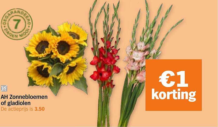 AH Zonnebloemen of gladiolen €1 korting