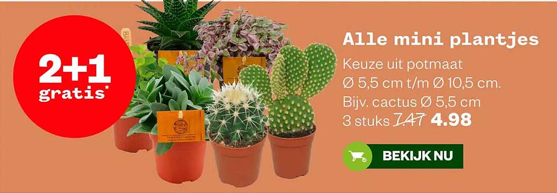Alle mini plantjes 2+1 gratis