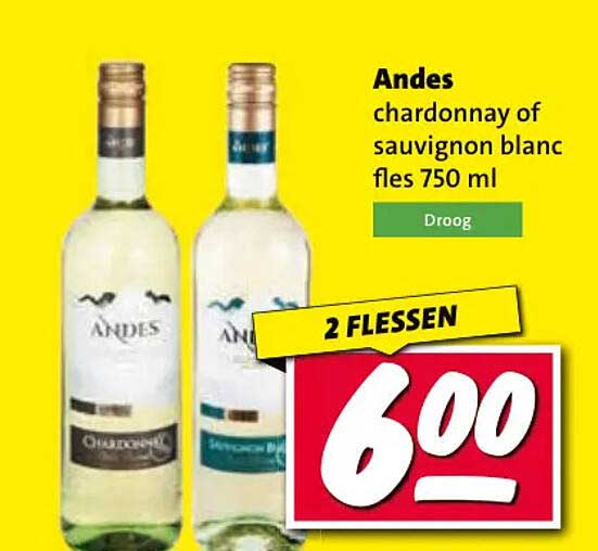 Andes chardonnay of sauvignon blanc fles 750 ml 2 FLESSEN