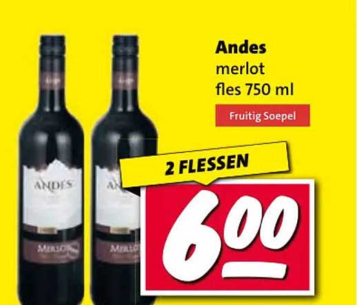 Andes merlot fles 750 ml 2 flessen