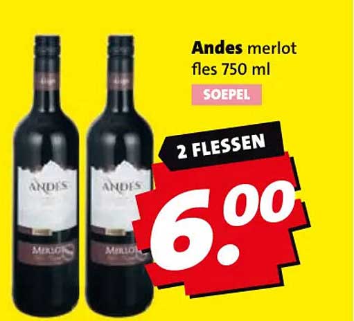 Andes merlot fles 750 ml SOEPEL 2 FLESSEN