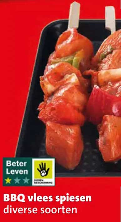 BBQ vlees spiesen diverse soorten