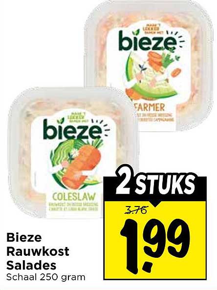 Bieze Rauwkost Salades Schaal 250 gram 2 STUKS