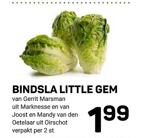 BINDSLA LITTLE GEM