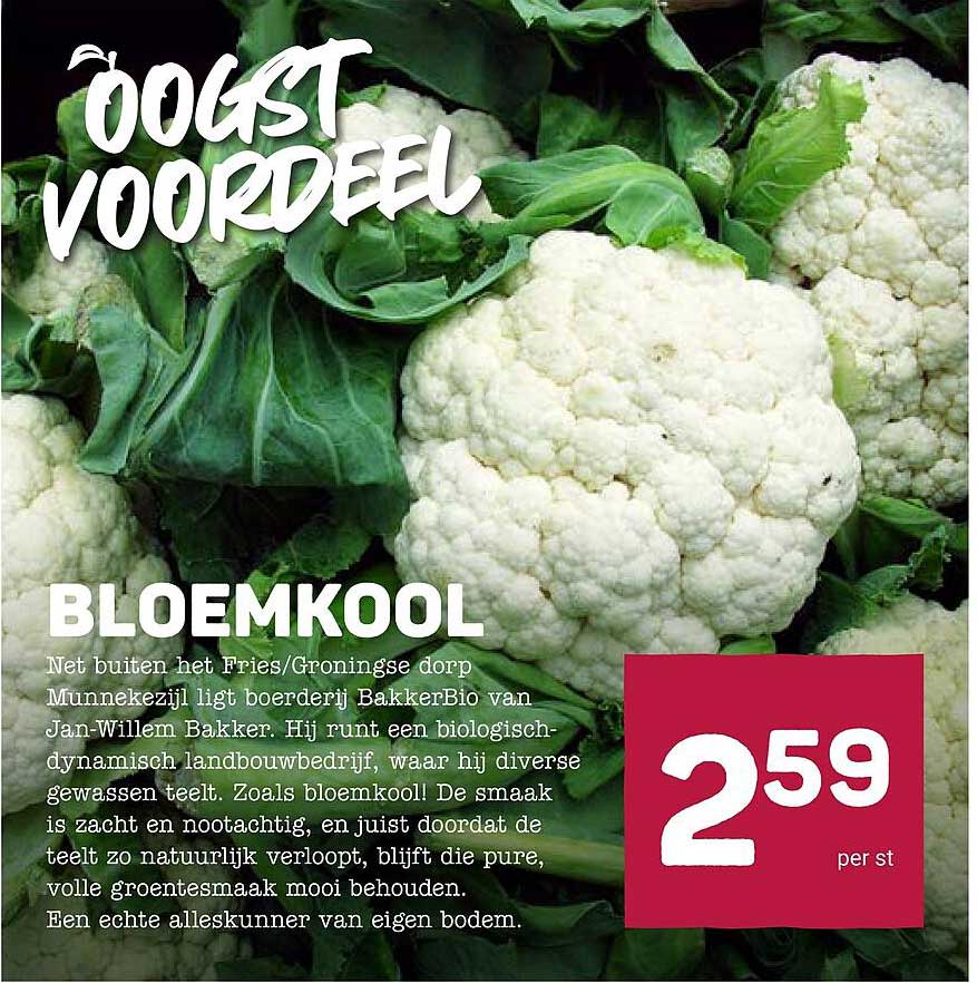 BLOEMKOOL