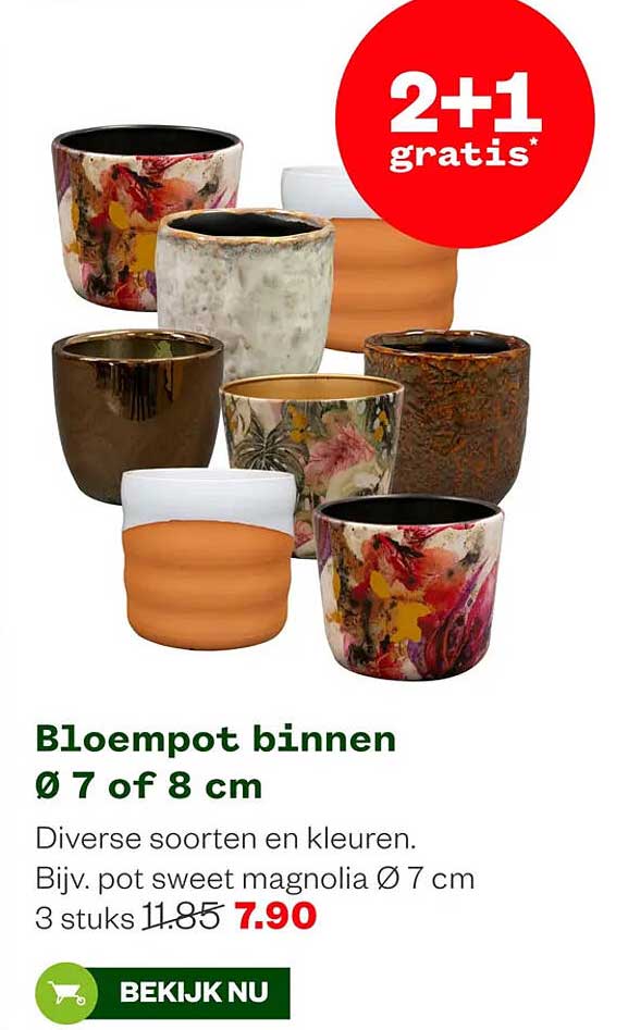 Bloempot binnen Ø 7 of 8 cm 2+1 gratis