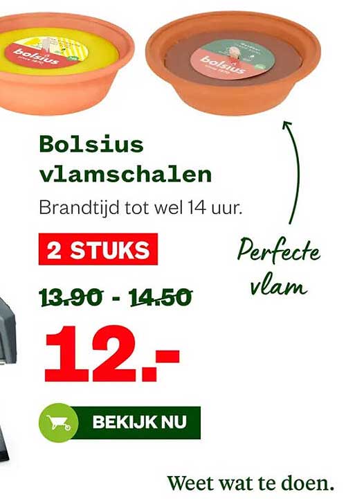 Bolsius vlamschalen 2 STUKS Perfecte vlam