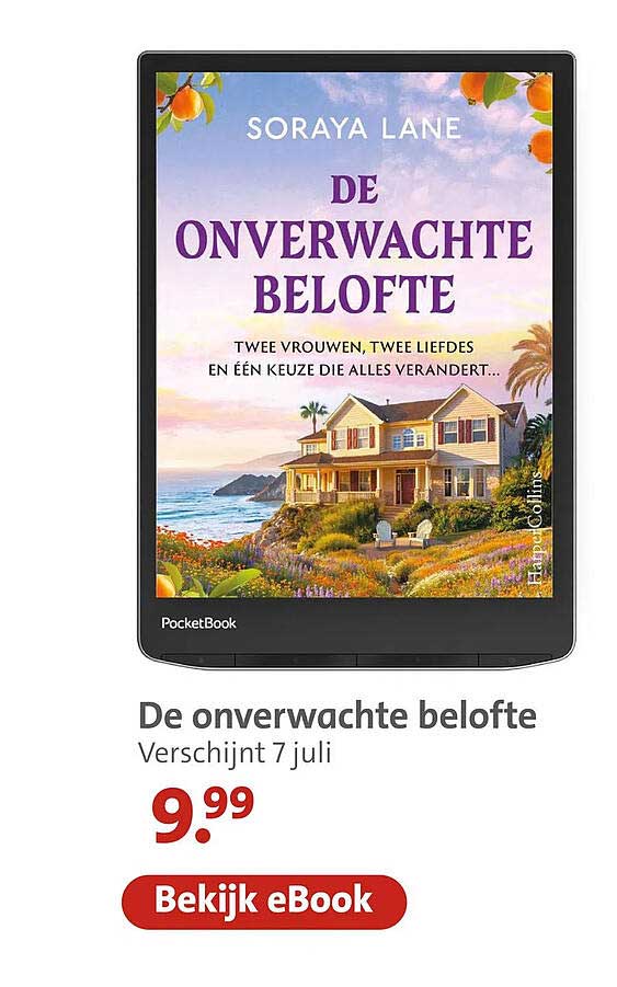 De onverwachte belofte
