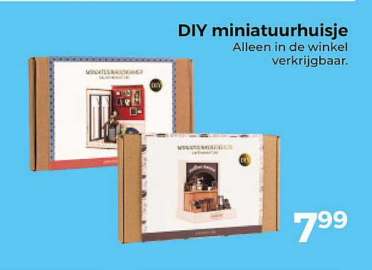 DIY miniatuurhuisje Alleen in de winkel verkrijgbaar.