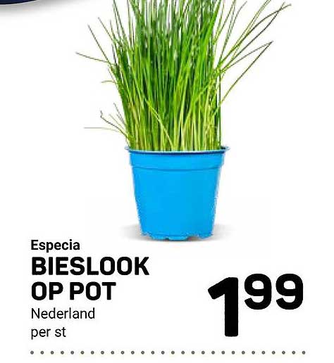 Especia BIESLOOK OP POT