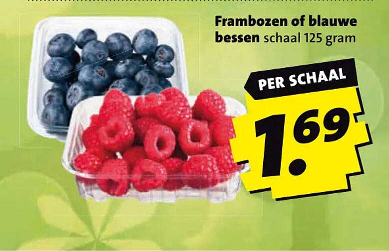 Frambozen of blauwe bessen schaal 125 gram PER SCHAAL