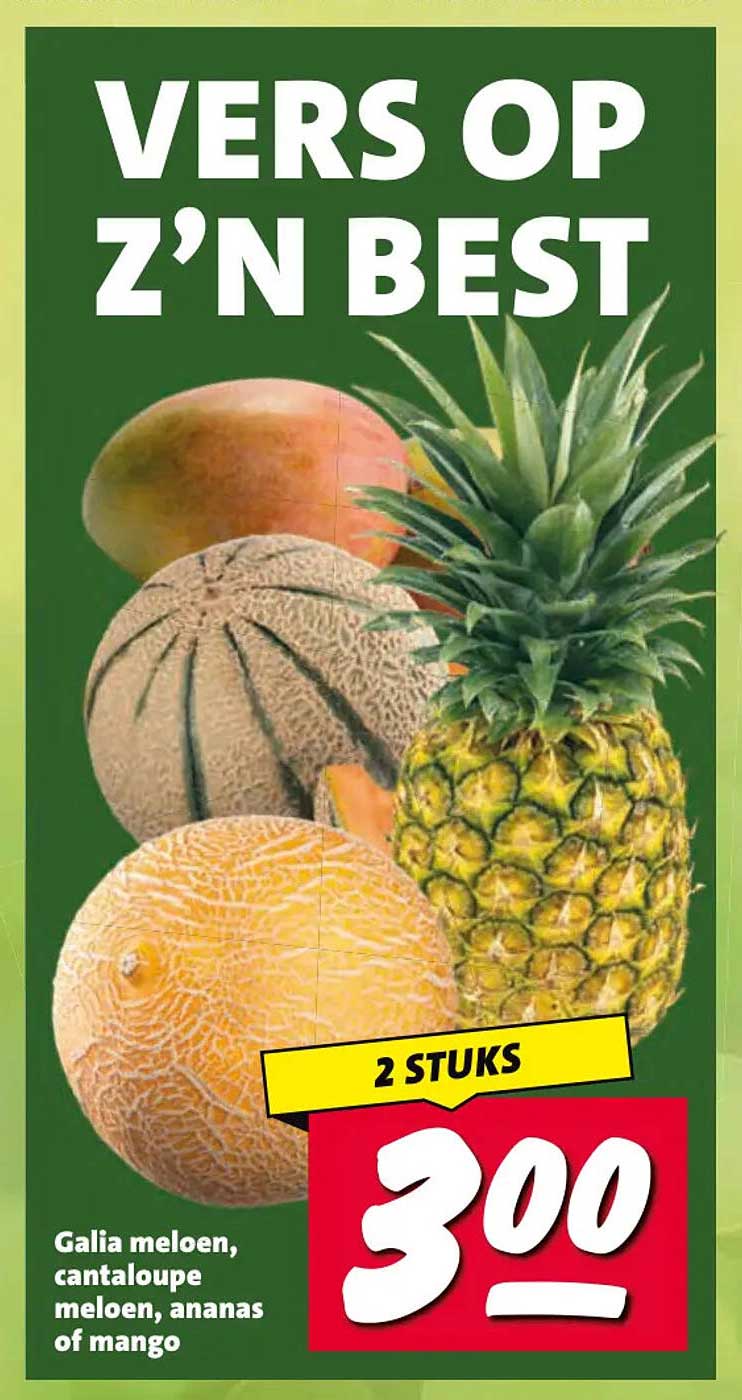 Galia meloen, cantaloupe meloen, ananas of mango 2 STUKS