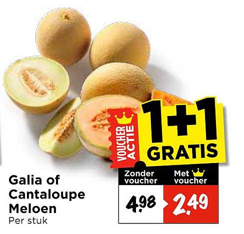 Galia of Cantaloupe Meloen 1+1 GRATIS