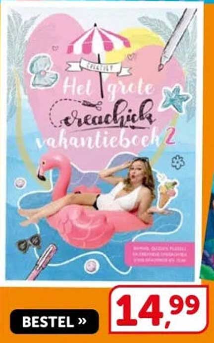 Het grote creatief vakantiebboek 2