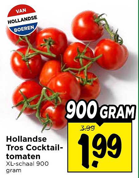 Hollandse Tros Cocktail-tomaten XL-schaal 900 gram