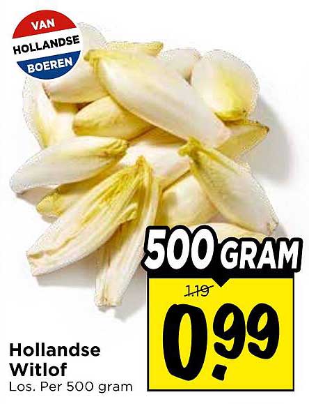 Hollandse Witlof Los. Per 500 gram