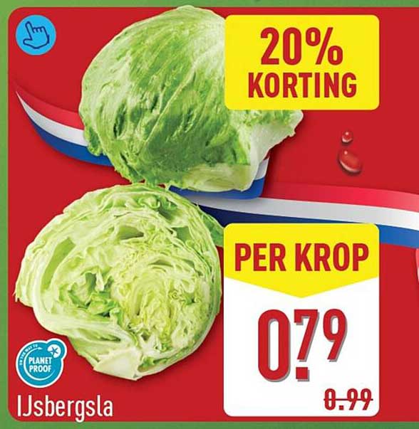 IJsbergsla 20% korting per krop