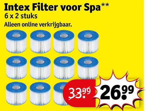 Intex Filter voor Spa** 6 x 2 stuks Alleen online verkrijgbaar.