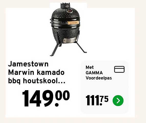 Jamestown Marwin kamado bbq houtskool...