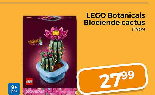 LEGO Botanicals Bloeiende cactus 11509