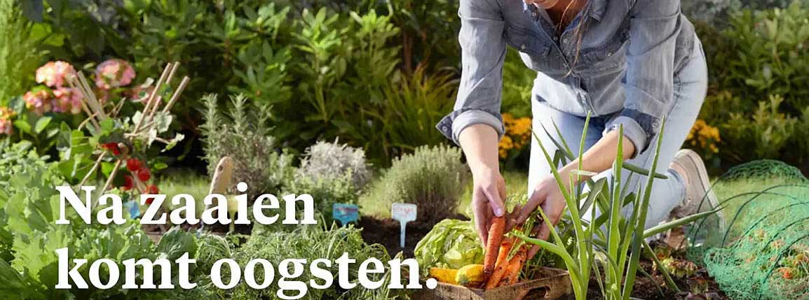 Na zaaien komt oogsten.