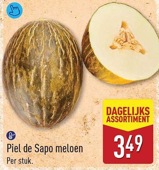 Piel de Sapo meloen