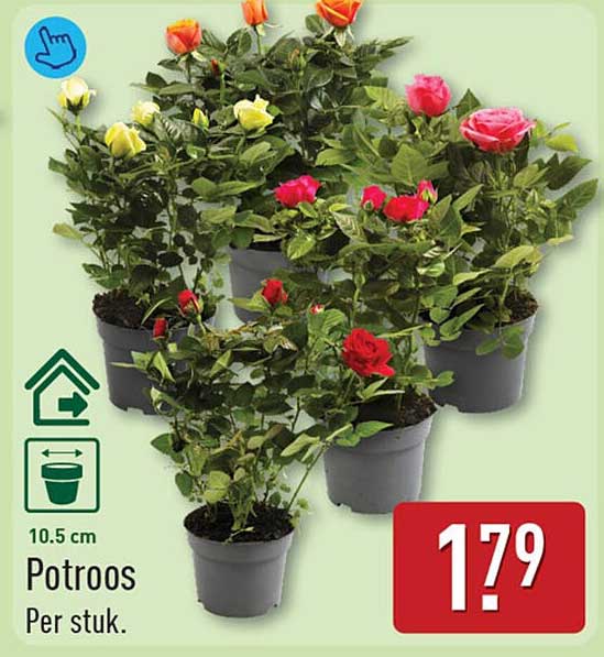 Potroos