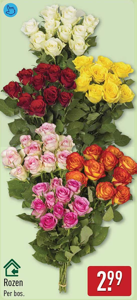 Rozen Per bos.