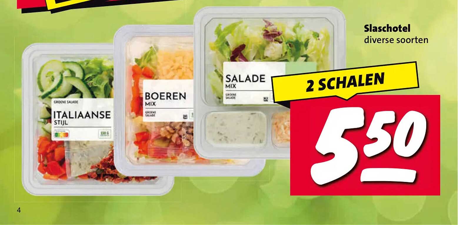 Slasschotel diverse soorten 2 SCHALEN