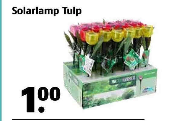 Solarlamp Tulp