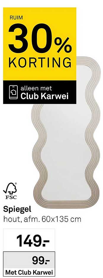 Spiegel hout, afm. 60x135 cm